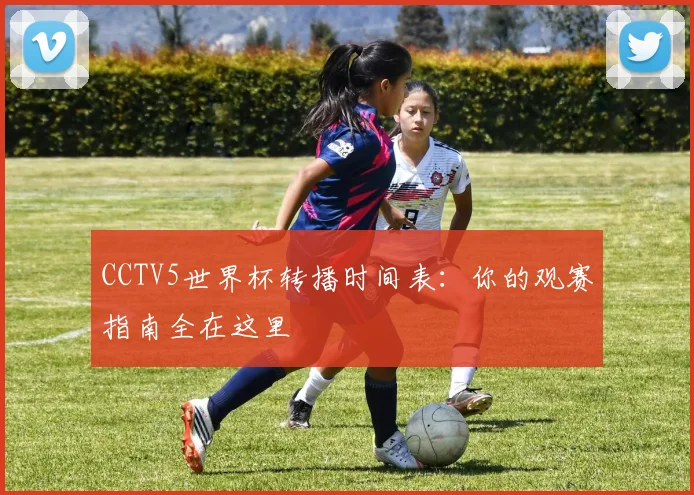 CCTV5世界杯转播时间表：你的观赛指南全在这里
