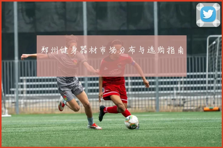 郑州健身器材市场分布与选购指南