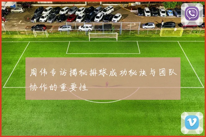 周伟专访揭秘排球成功秘诀与团队协作的重要性