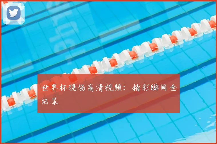 世界杯现场高清视频：精彩瞬间全记录