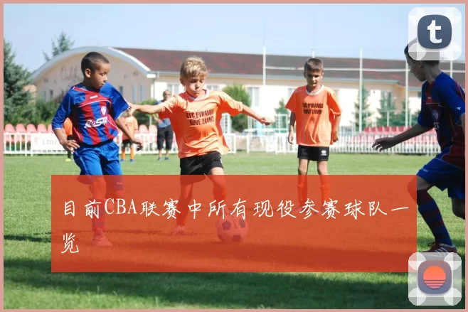 目前CBA联赛中所有现役参赛球队一览
