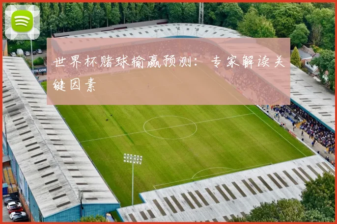 世界杯赌球输赢预测：专家解读关键因素