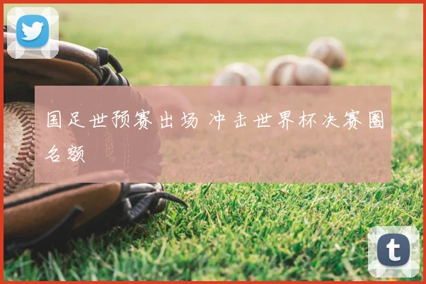 国足世预赛出场 冲击世界杯决赛圈名额