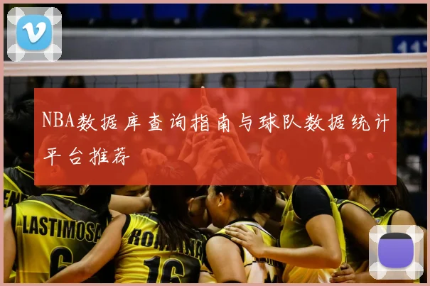 NBA数据库查询指南与球队数据统计平台推荐