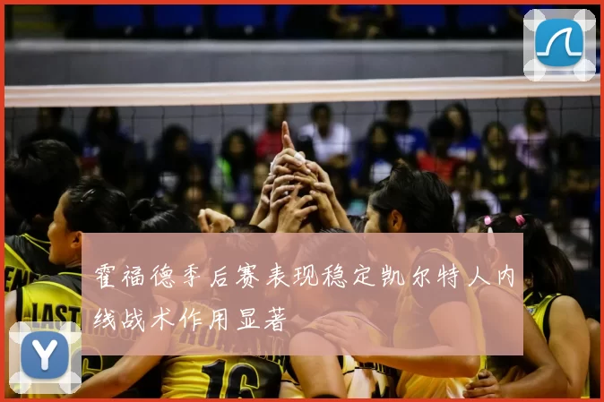 霍福德季后赛表现稳定凯尔特人内线战术作用显著