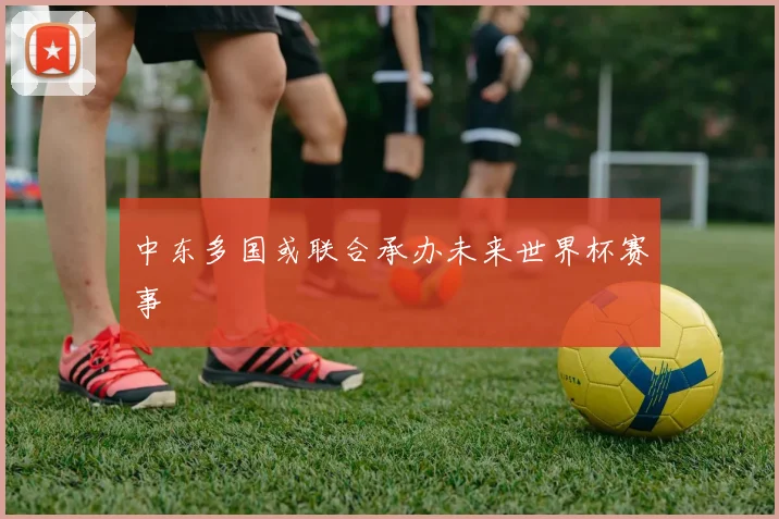 中东多国或联合承办未来世界杯赛事