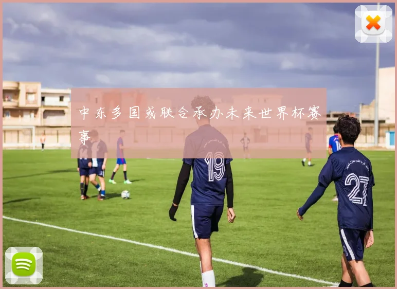 中东多国或联合承办未来世界杯赛事