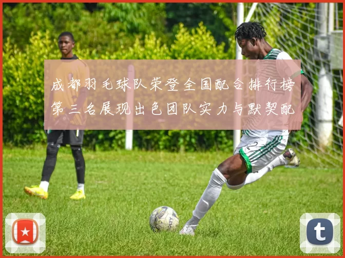 成都羽毛球队荣登全国配合排行榜第三名展现出色团队实力与默契配合