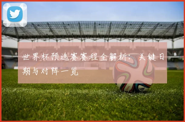 世界杯预选赛赛程全解析：关键日期与对阵一览