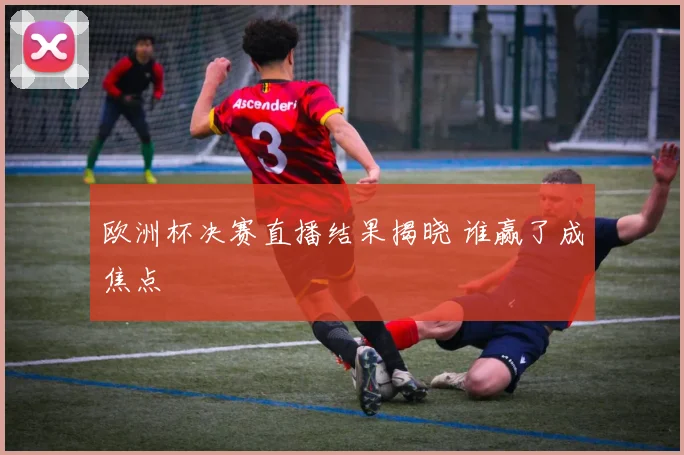 欧洲杯决赛直播结果揭晓 谁赢了成焦点