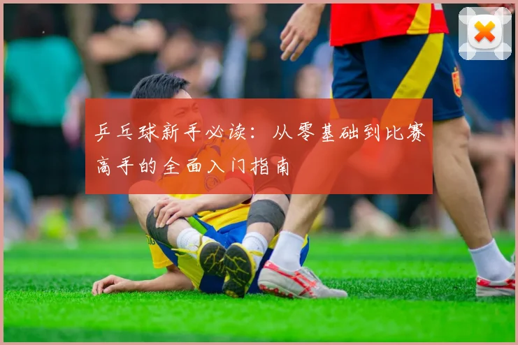 乒乓球新手必读：从零基础到比赛高手的全面入门指南