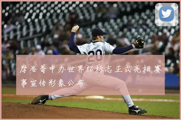 摩洛哥申办世界杯标志正式亮相 赛事宣传形象公布
